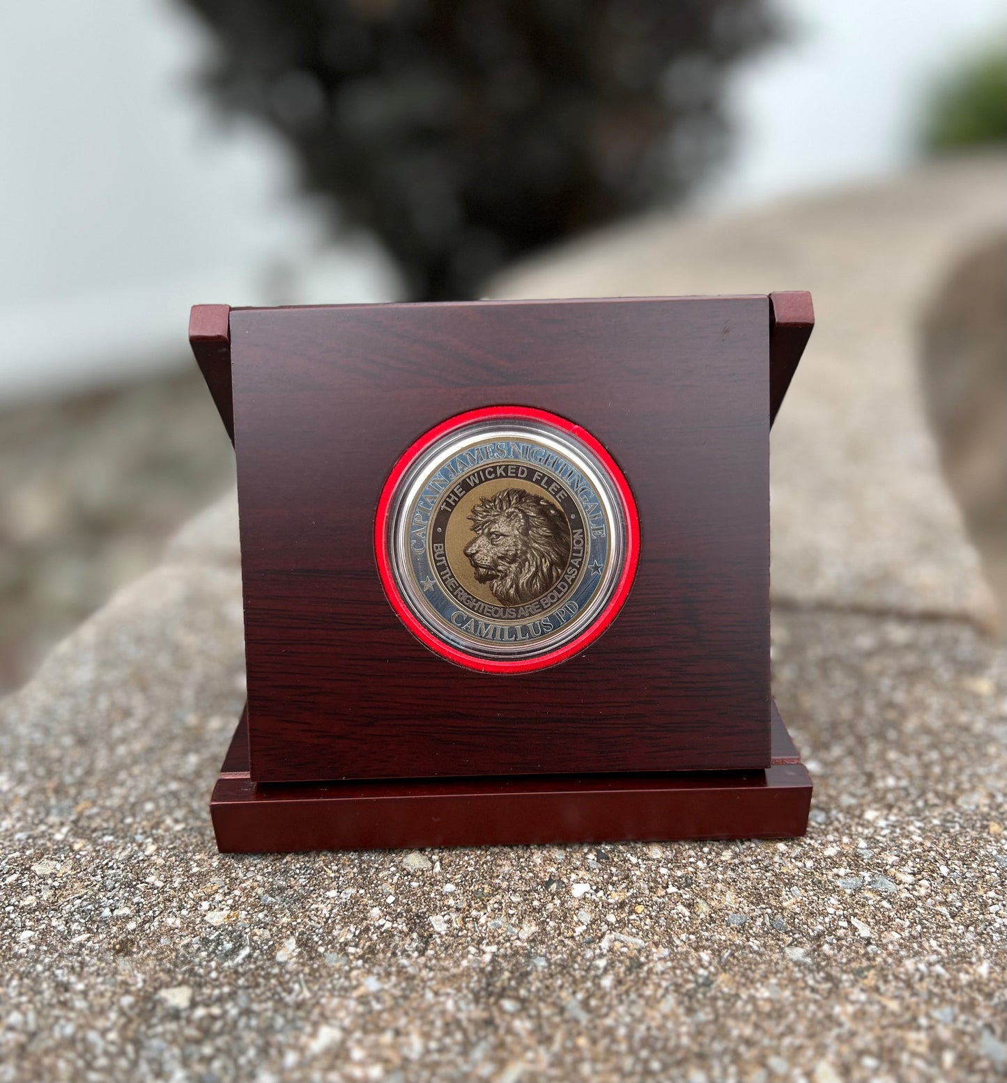 Single Challenge Coin Wood Display Case for 2" Coin